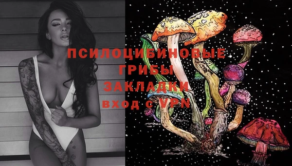 круглые Инсар