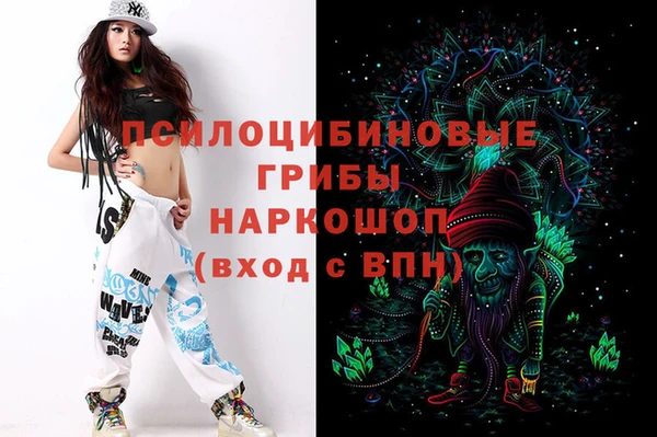 круглые Инсар