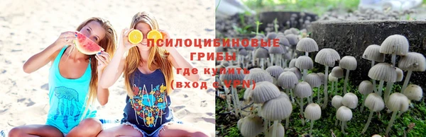 круглые Инсар